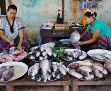 Widespread slavery in the Myanmar fishing industry